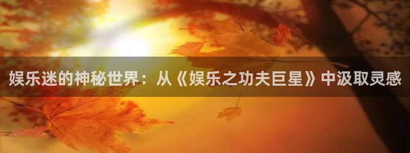 沐鸣官网：娱乐迷的神秘世界：从《娱乐之功夫巨星》中汲取灵感