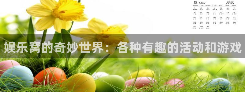 沐鸣2平台：娱乐窝的奇妙世界：各种有趣的活动和游戏