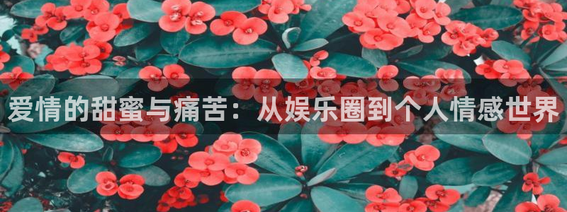 沐鸣代理：爱情的甜蜜与痛苦：从娱乐圈到个人情感世界