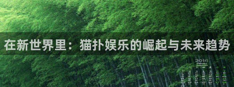 沐鸣2官方登录：在新世界里：猫扑娱乐的崛起与未来趋势