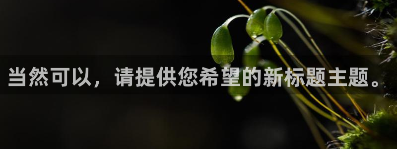 沐鸣2：当然可以，请提供您希望的新标题主题。