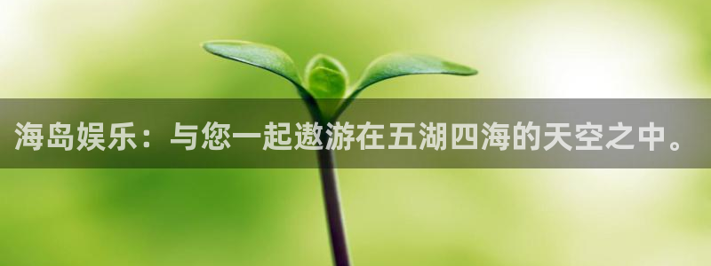 沐鸣2平台代理注册：海岛娱乐：与您一起遨游在五湖四海的天空之中。