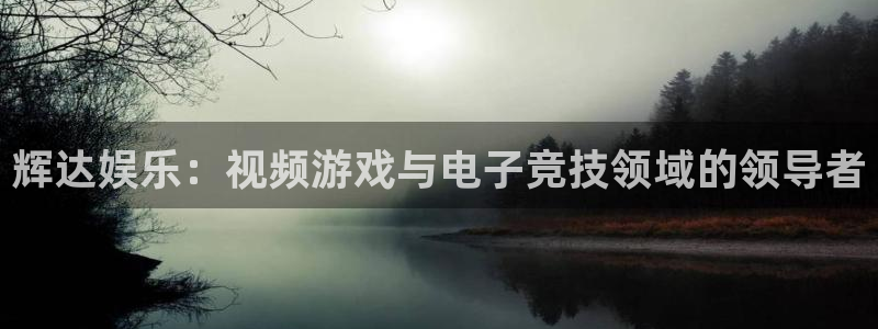 沐鸣2平台主管：辉达娱乐：视频游戏与电子竞技领域的领导者